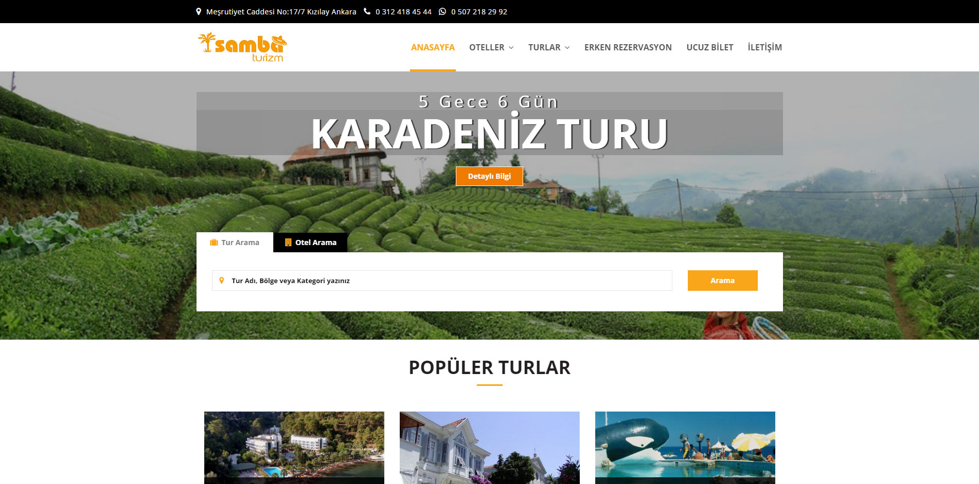 turizm sitesi, turizm web sitesi, tur sitesi, acente yazılımı, turizm yazılımı, acente sistemi, acente yönetimi, seyahat acentesi sitesi, turizm firma sitesi, turizm otomasyonu